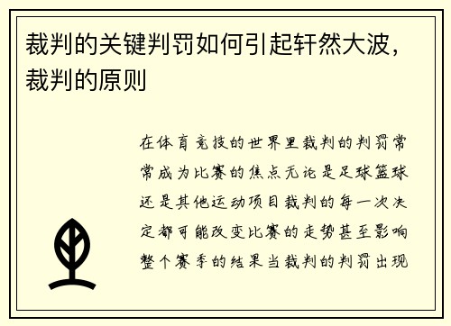 裁判的关键判罚如何引起轩然大波，裁判的原则